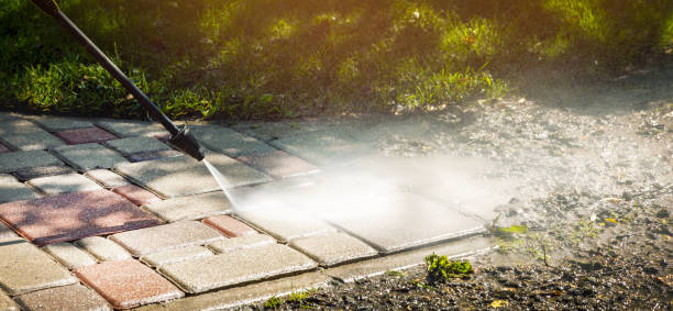 Best Solar Panel Cleaning  in Wernersville, PA